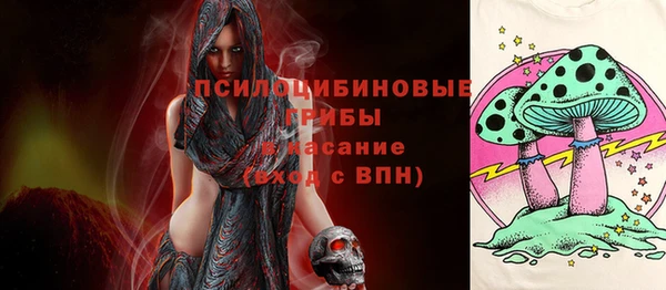 мдпв Кинешма